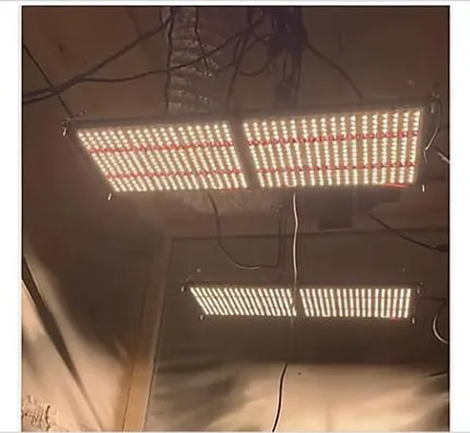 Tam Spektrumlu Bitki Yetiştirme Lambası R126X