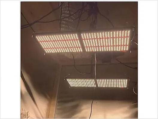 Tam Spektrumlu Bitki Yetiştirme Lambası R126X