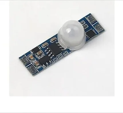 DC12V/24V akıllı vücut sensörü anahtarı 30s/60s gecikme E111X