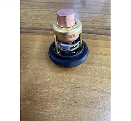 75692Q2 Termostat Mercury 75692T'NIN Yerine Geçer X279Y