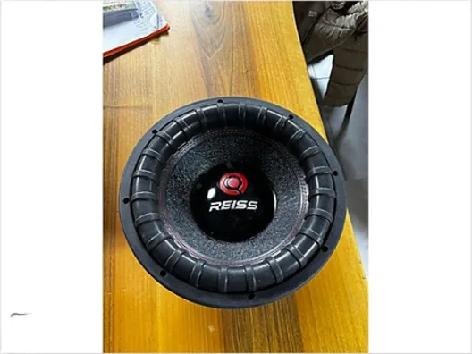 REİSS RS-YS12. 30 CM SUBWOOFER 600W MAX POWER Q03Z