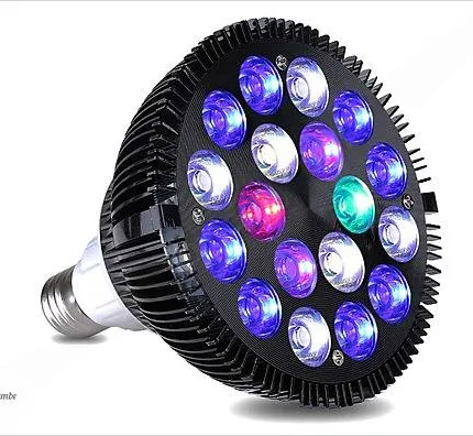 KINGBO LED Akvaryum Bitki Ampulü C256X